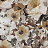 Ткань Prestigious Textiles lona 1496/460