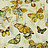 Ткань Prestigious Textiles Mardi Gras 8567/457