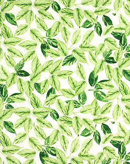 Ткань Prestigious Textiles Pickle 5767/630