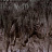 Обои Texam ID ID601