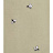 Обои Fromental Conversational The Bees/Acasia