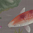 Обои Fromental Modern Chinois Carp and Moon/Honshu