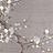 Обои Fromental Modern Chinois Prunus/Jericho