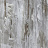 Обои Fromental Roomskins Gupsum/Eel