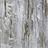 Обои Fromental Roomskins Gupsum/Eel