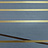 Обои Fromental Roomskins Lacets/Baleine