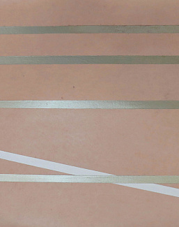 Обои Fromental Roomskins Lacets/Ribbon