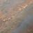 Обои Fromental Roomskins Saltwood/Braskish