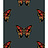 Обои Timorous Beasties Studio EX/BFLY/4007/01