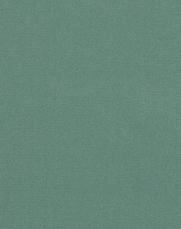 Ткань Manuel Canovas Rivoli II 04982/45