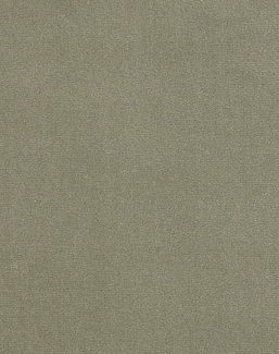 Ткань Manuel Canovas Rivoli II 04982/36