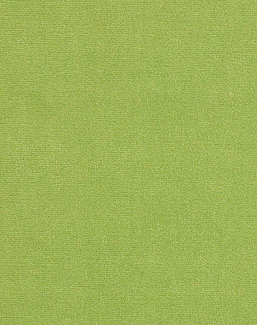 Ткань Manuel Canovas Rivoli II 04982/52