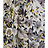 Ткань Jean Paul Gaultier Pop Rock 3496/03