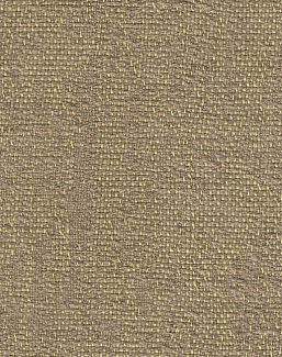 Ткань Creation Baumann Terra Terra/46