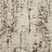 Ткань Galleria Arben Terranova Cleopatra/16-Bronze