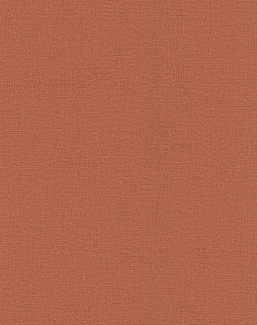 Обои Rasch Lirico 555912