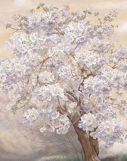 Панно и фотообои Affresco Trend Art AK476 COL2