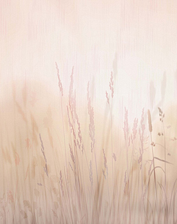 Панно и фотообои Affresco Trend Art ZK420 COL1