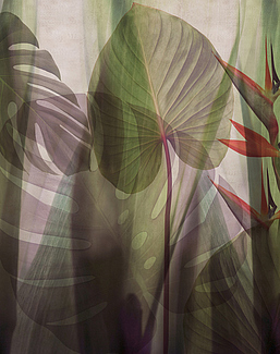 Панно и фотообои Glamora Creative Wallcovering GLRO104B
