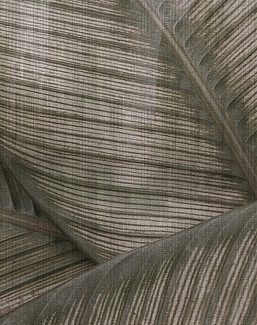 Панно и фотообои Glamora Creative Wallcovering GLRO123A