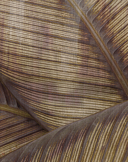Панно и фотообои Glamora Creative Wallcovering GLRO124A