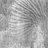 Панно и фотообои Glamora Glam Fusion GLEV113A