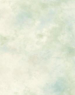 Обои Aquarelle Brushstrokes BR2003