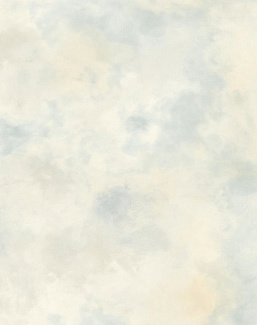 Обои Aquarelle Brushstrokes BR2004