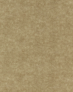 Ткань Clarke & Clarke Dawson Fr F1598/06