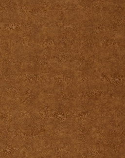 Ткань Clarke & Clarke Dawson Fr F1598/03