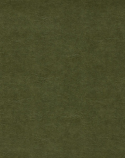 Ткань Clarke & Clarke Dawson Fr F1598/12