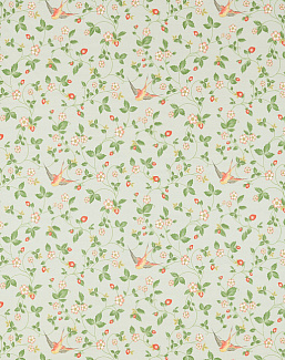 Ткань Clarke & Clarke Botanical Wonders F1606/02