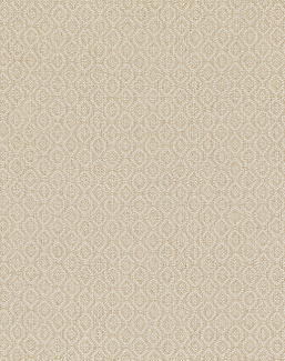 Ткань Baker Lifestyle Block Weaves PF50488/225