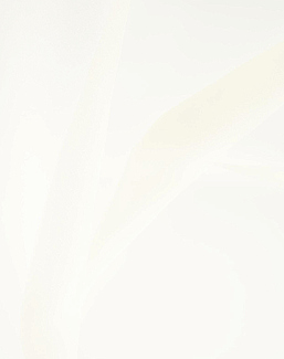 Ткань Daylight Quazar Flow/Swan