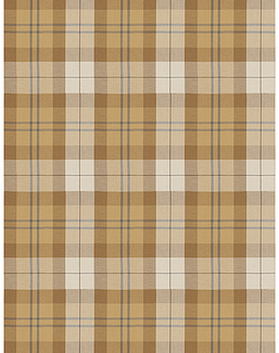 Ткань Fabricut Chromatics Vol.XXV Gilt Hix plaid/Sesame