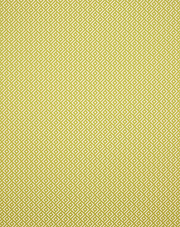 Ткань Manuel Canovas Vogue 04987/07