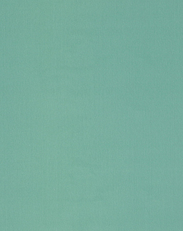 Ткань Manuel Canovas Rivoli 04982/33