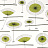 Обои MissPrint Collection 2 MISP1077
