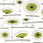 Обои MissPrint Collection 2 MISP1077
