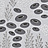 Обои MissPrint Collection 3 MISP1126