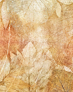 Панно и фотообои Affresco New Art RE204 COL2