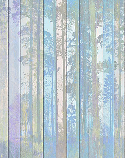 Панно и фотообои Affresco Re-Space NR28 COL1
