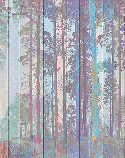 Панно и фотообои Affresco Re-Space NR28 COL3