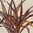 Ткань Casamance Jardin Neroli 42210108