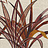 Ткань Casamance Jardin Neroli 42210108