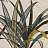 Ткань Casamance Jardin Neroli 42210477