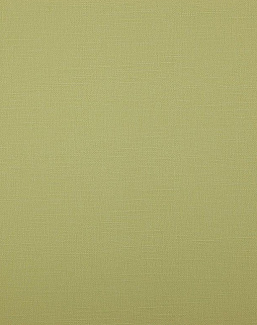 Ткань Daylight Canvas Bonfire/Linden