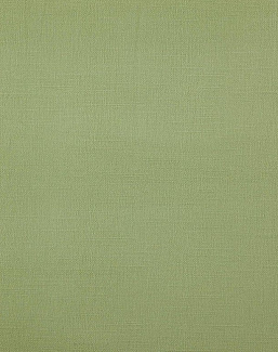 Ткань Daylight Canvas Bonfire/Sage