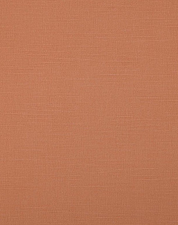 Ткань Daylight Canvas Bonfire/Terra