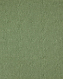 Ткань Daylight Canvas Canvas/Basil